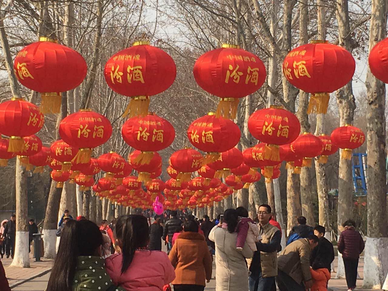 2017春节花灯会