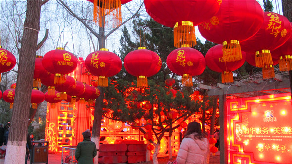 春节花灯会